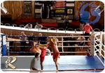 Liviu Ionescu in ''ArenaSport''