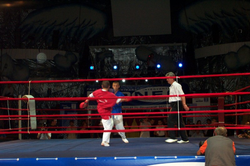 Provocarea Campionilor 1 / Bucuresti, 2003
