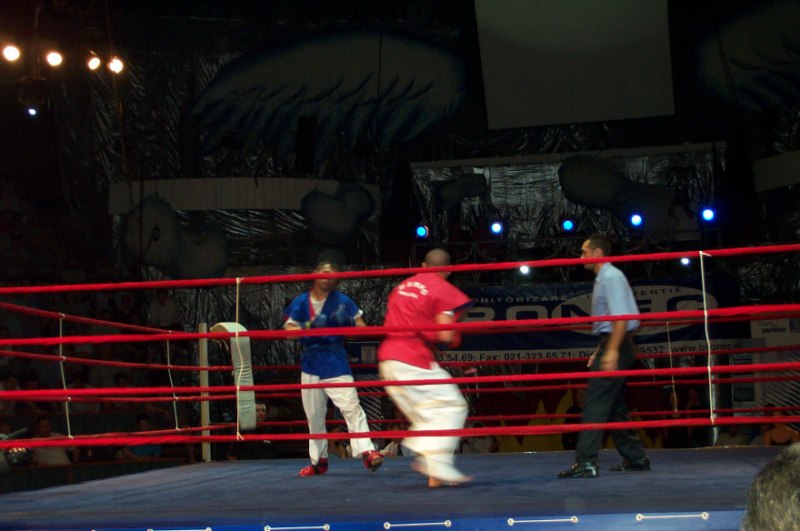 Provocarea Campionilor 1 / Bucuresti, 2003