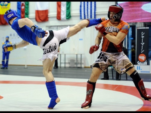 MMA - Campionatul European FILA - Kecskemet/Ungaria, 2013