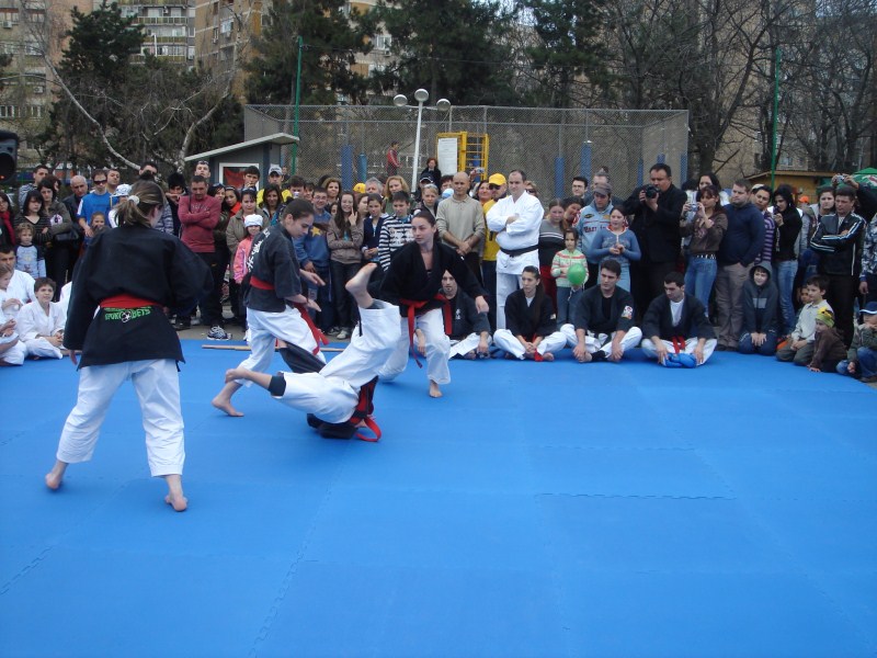 Demonstratie Parcul Tineretului 2008