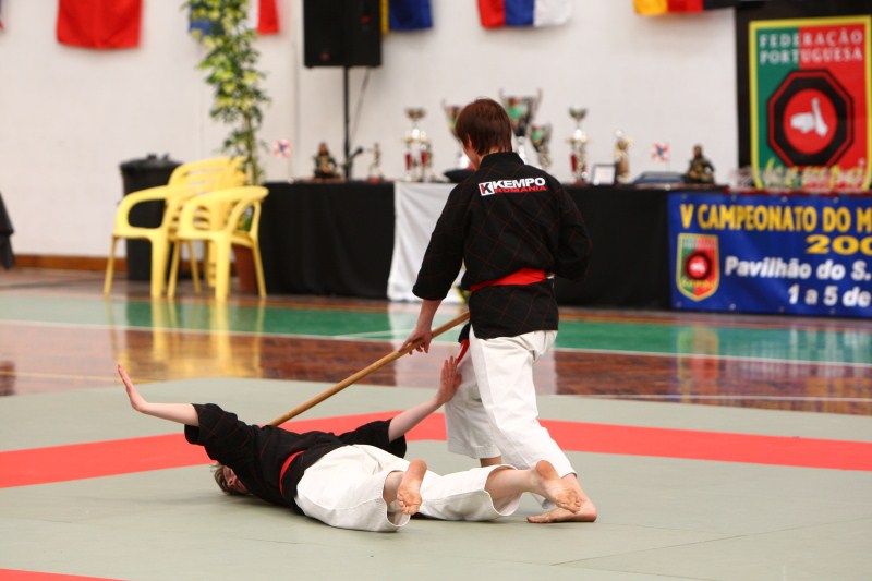 Campionatul Mondial de Kempo, Faro - Portugalia, 2008